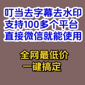 叮当去水印字幕